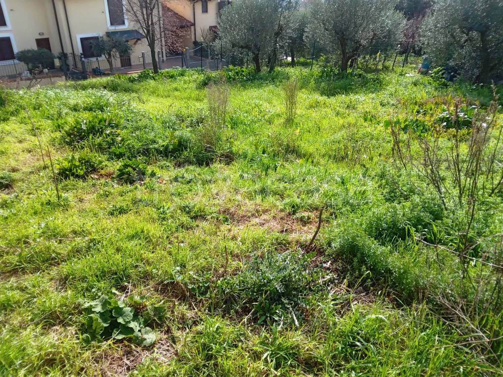 immagine annuncio 10 di 15