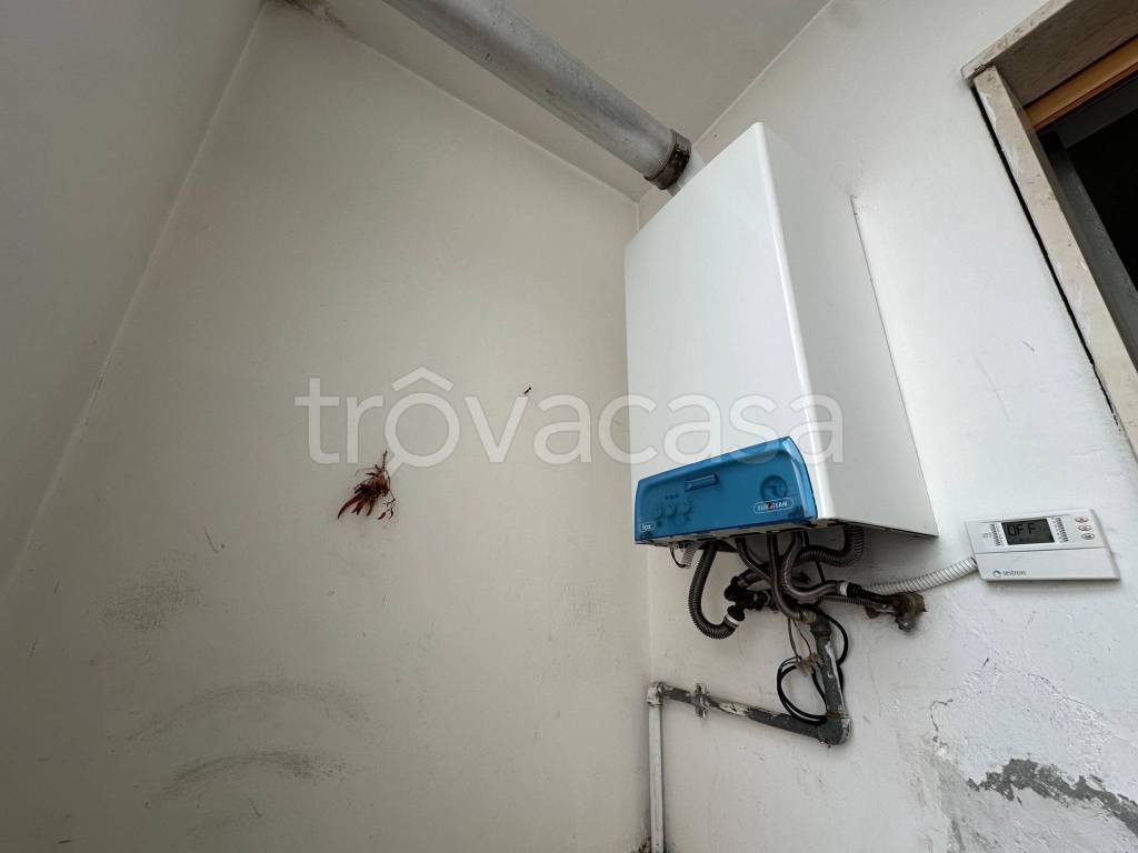 immagine annuncio 10 di 12