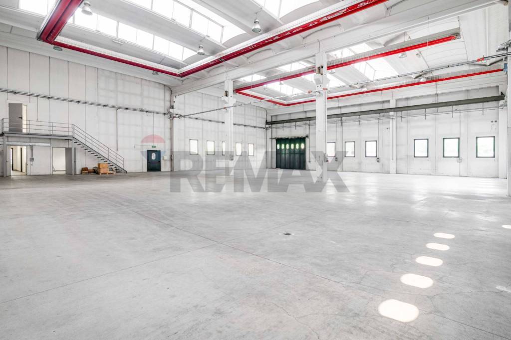 immagine annuncio 2 di 12