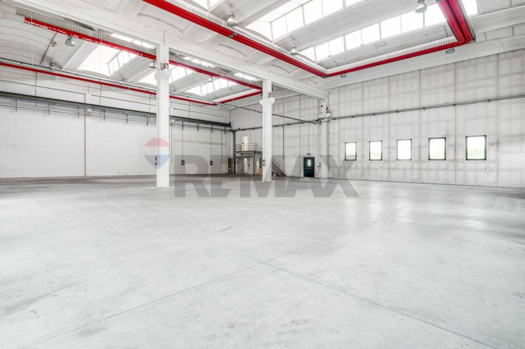 immagine annuncio 3 di 12