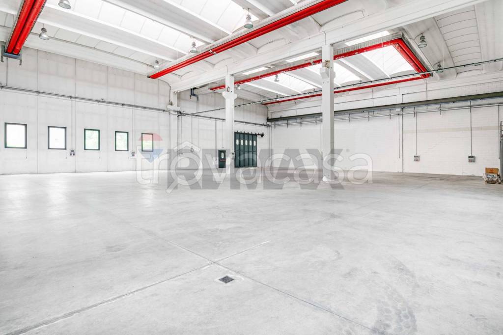 immagine annuncio 4 di 12