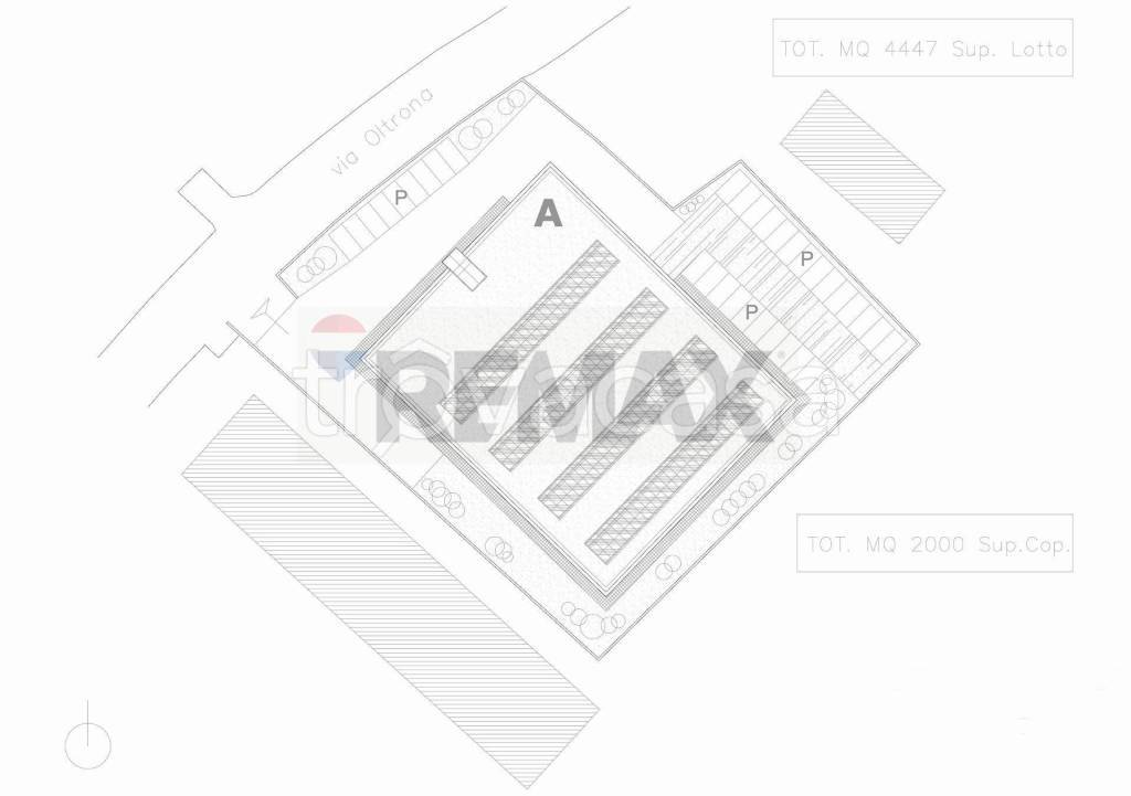 immagine annuncio 5 di 7