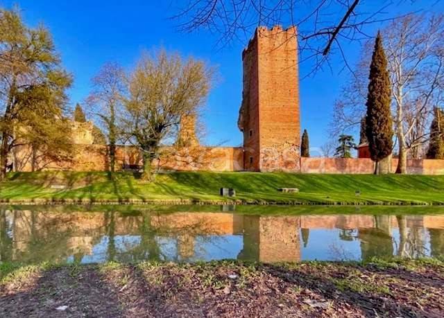 immagine annuncio 4 di 6