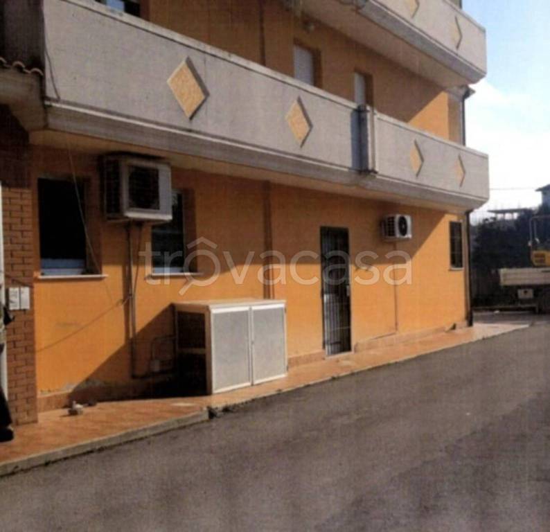 immagine annuncio 13 di 14