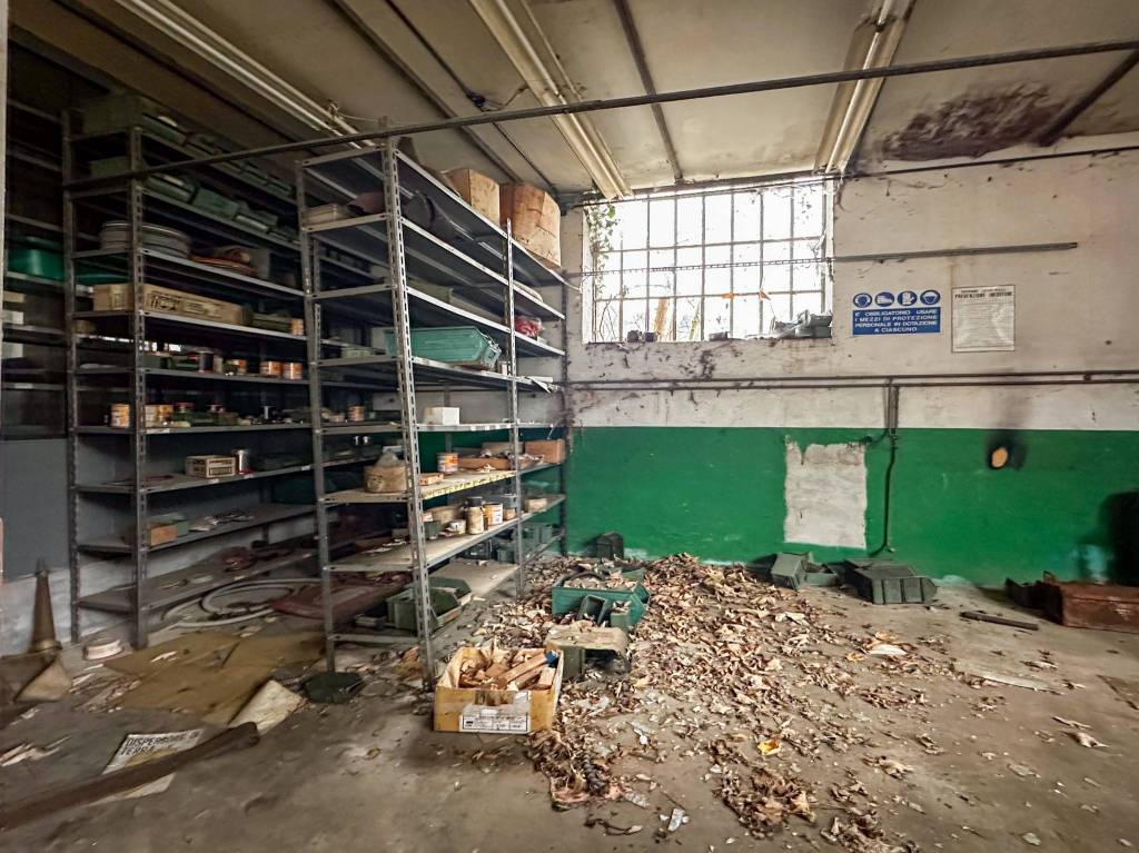 immagine annuncio 9 di 15