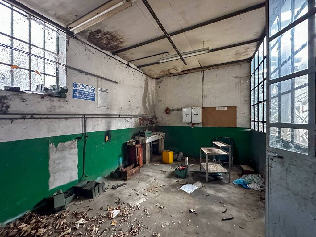 immagine annuncio 10 di 15