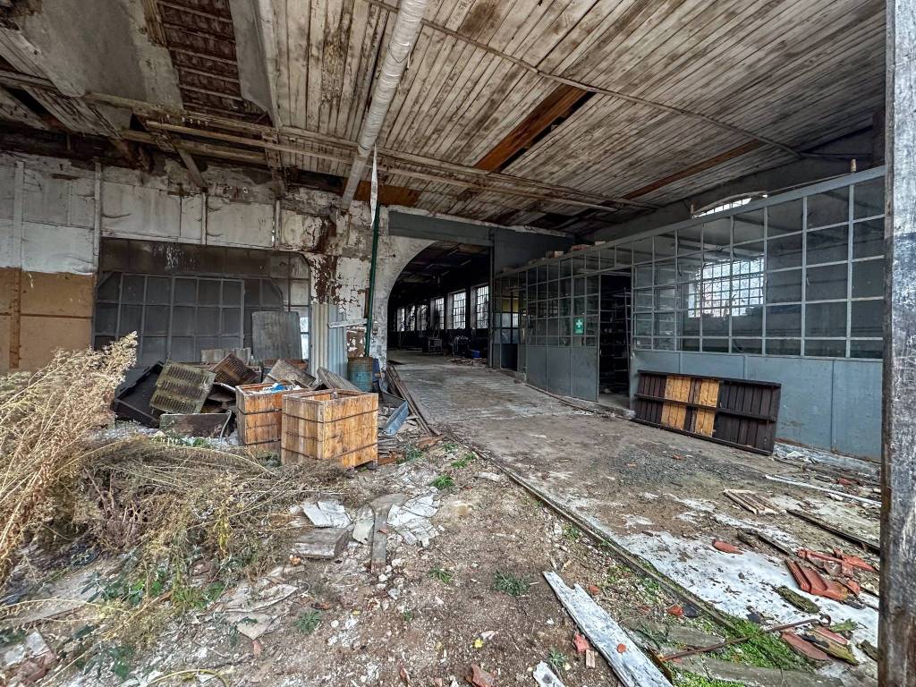 immagine annuncio 11 di 15