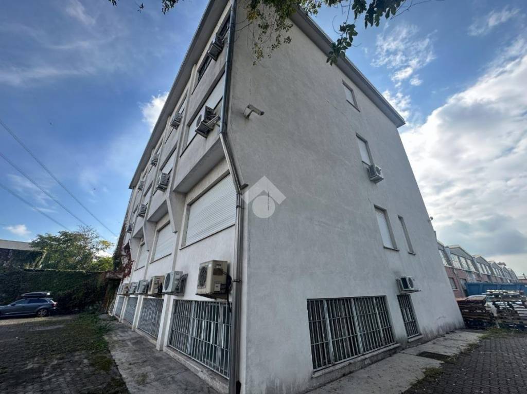 immagine annuncio 3 di 11