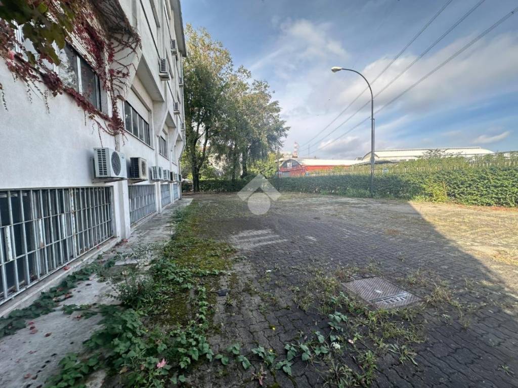 immagine annuncio 7 di 11