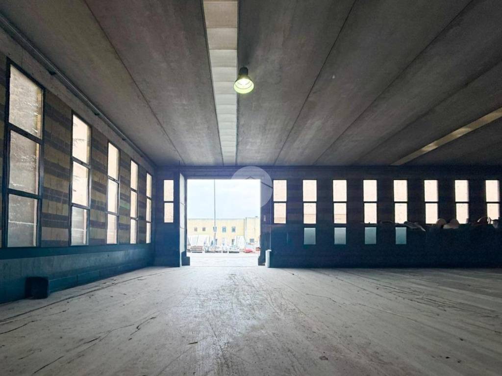 immagine annuncio 9 di 11