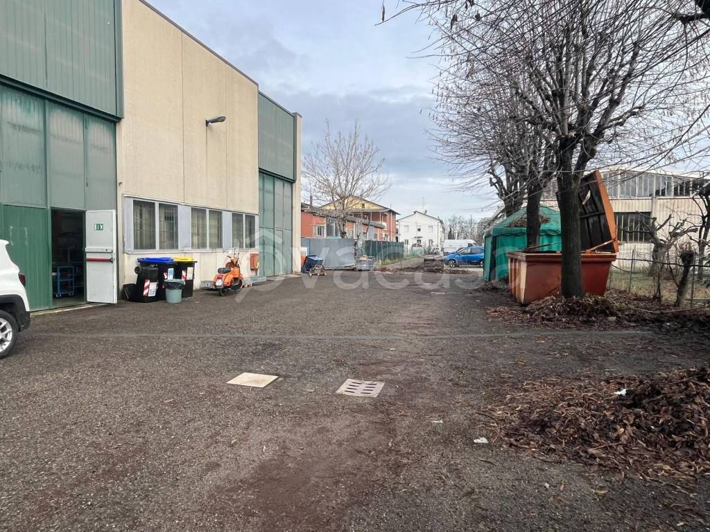 immagine annuncio 3 di 15