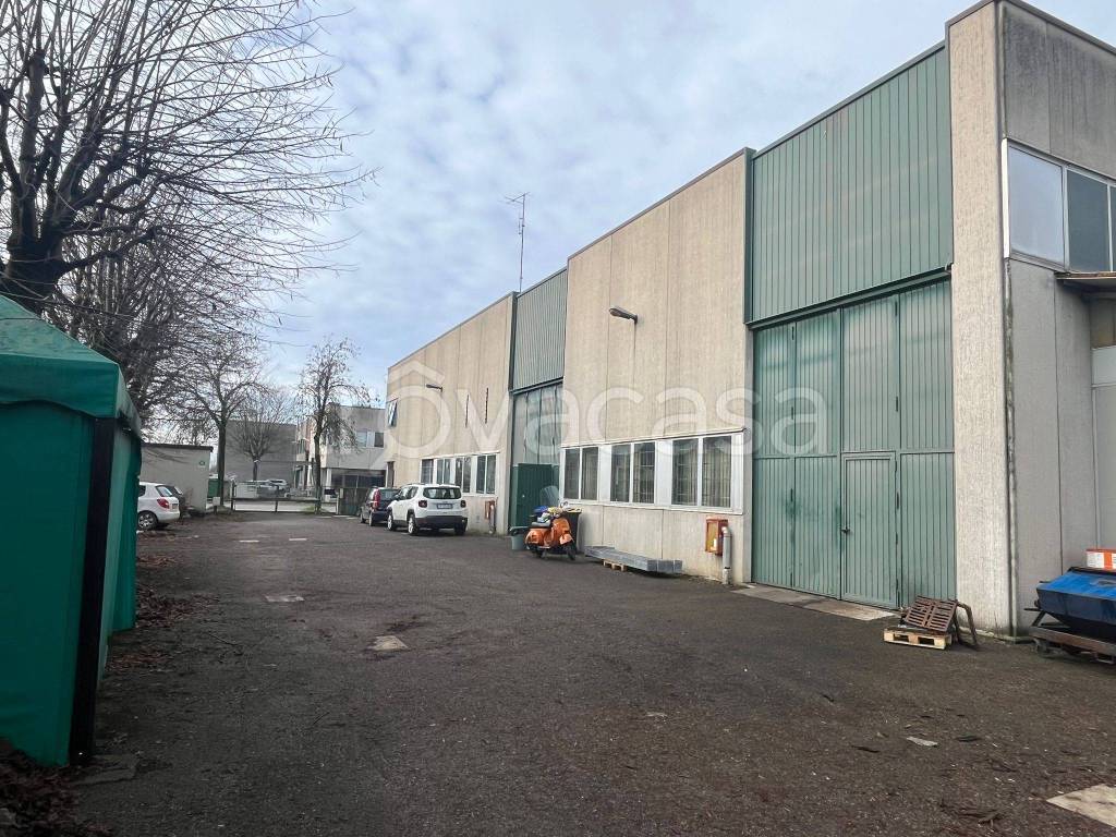 immagine annuncio 4 di 15