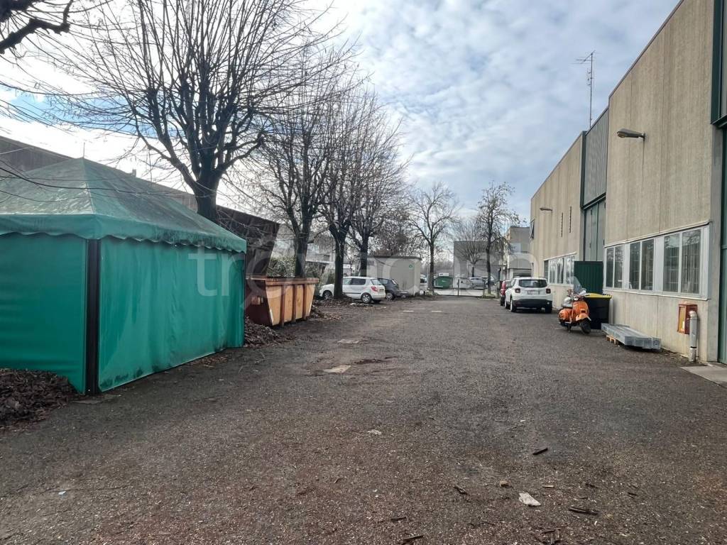 immagine annuncio 8 di 15