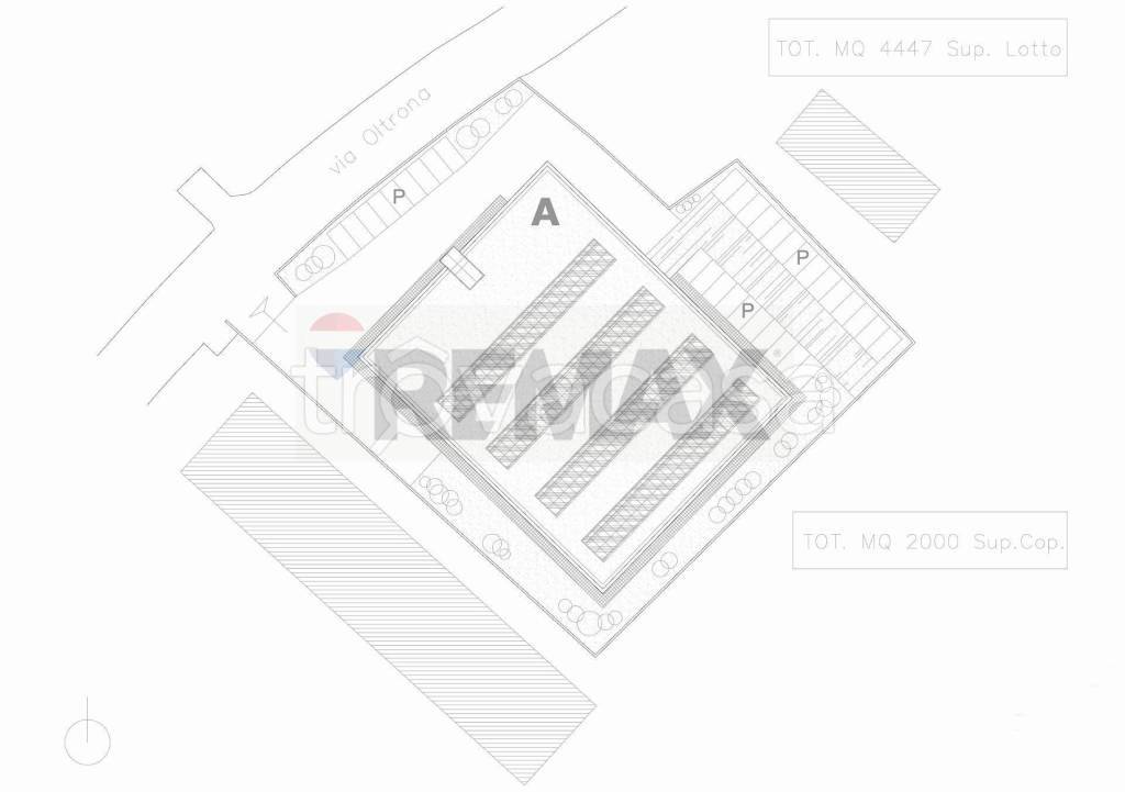 immagine annuncio 6 di 7