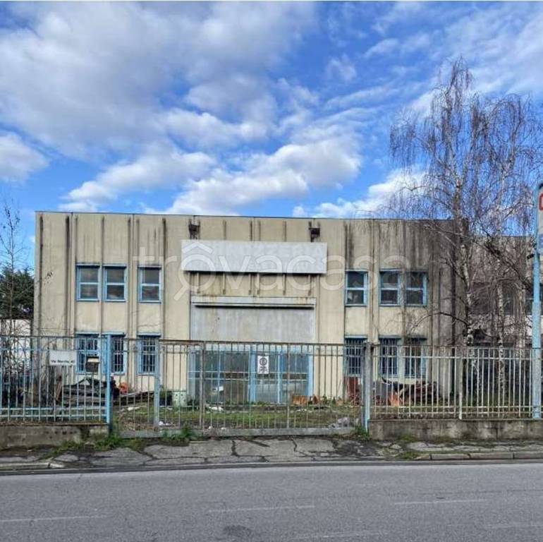 immagine annuncio 1 di 12