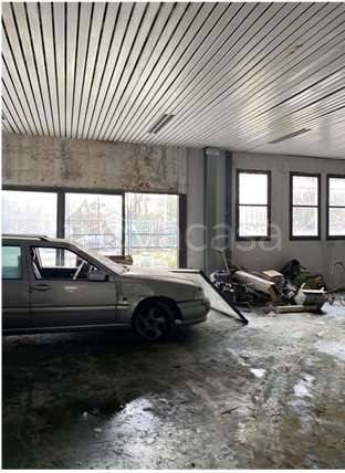 immagine annuncio 5 di 12