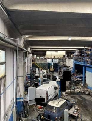 immagine annuncio 9 di 12