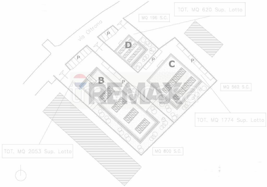 immagine annuncio 2 di 6