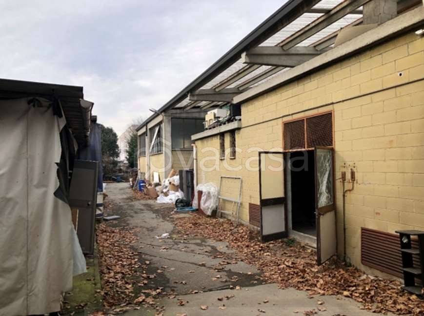 immagine annuncio 4 di 15