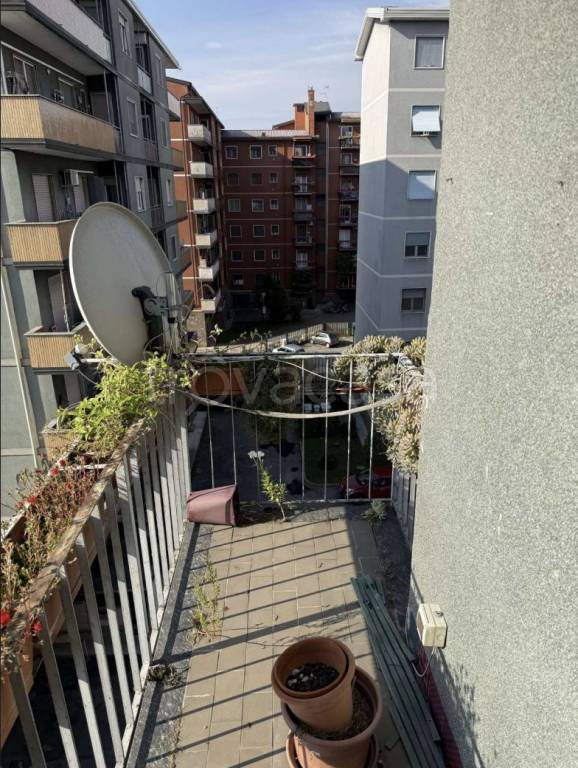 immagine annuncio 2 di 12