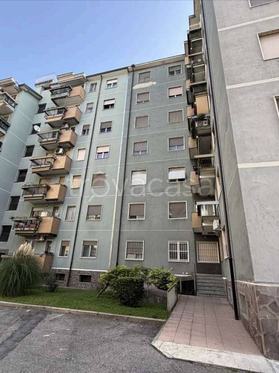 immagine annuncio 5 di 12