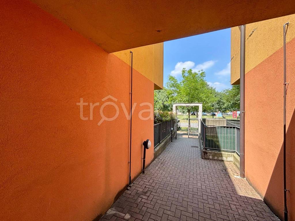 immagine annuncio 4 di 15