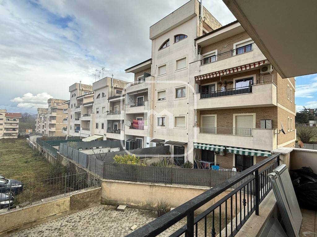 immagine annuncio 2 di 14