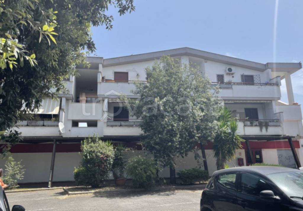 immagine annuncio 2 di 12