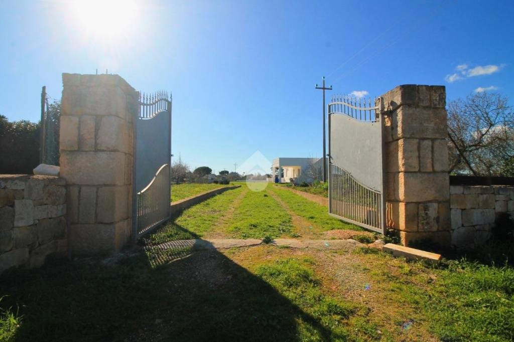 immagine annuncio 1 di 8