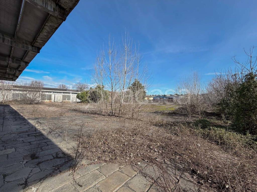 immagine annuncio 10 di 15