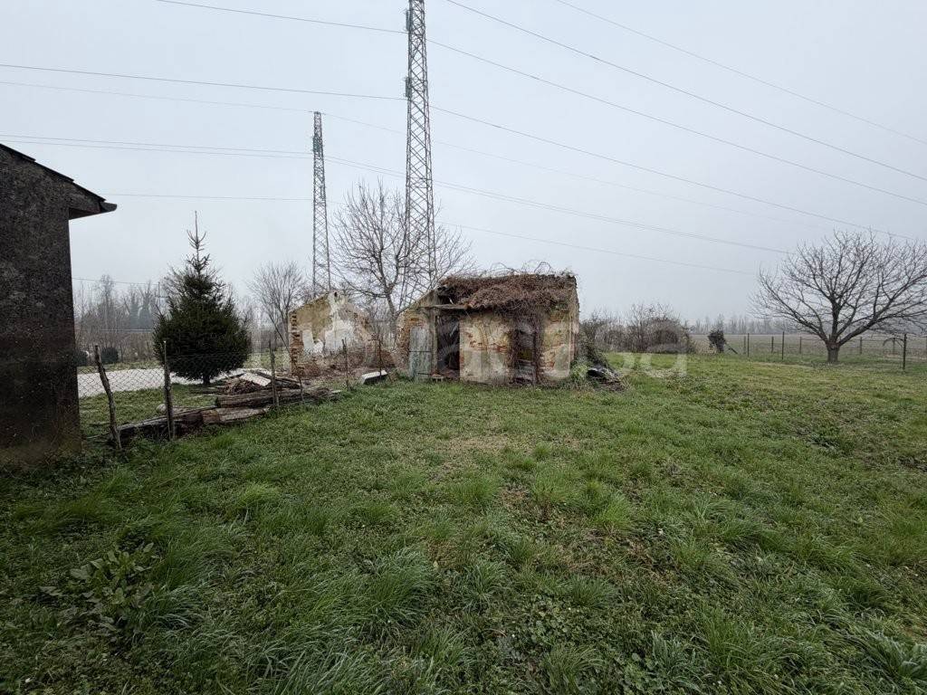 immagine annuncio 9 di 12