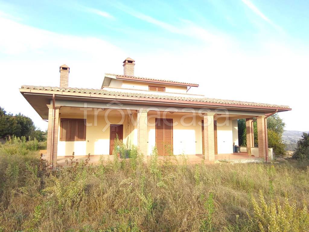 immagine annuncio 10 di 12