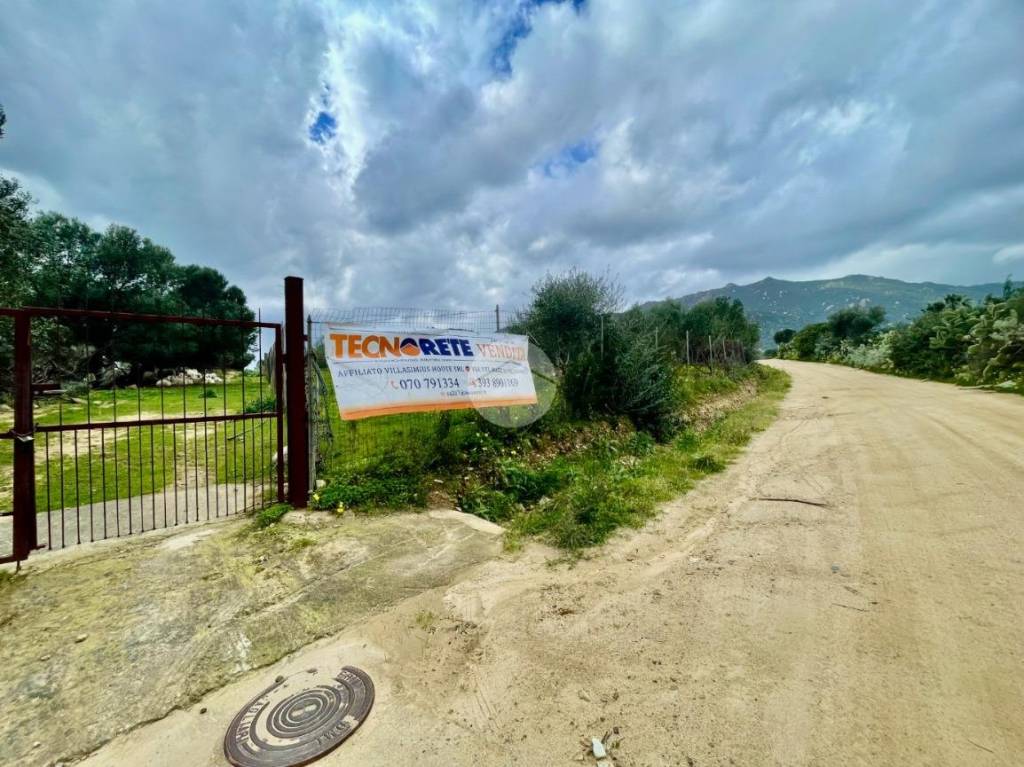 immagine annuncio 1 di 7