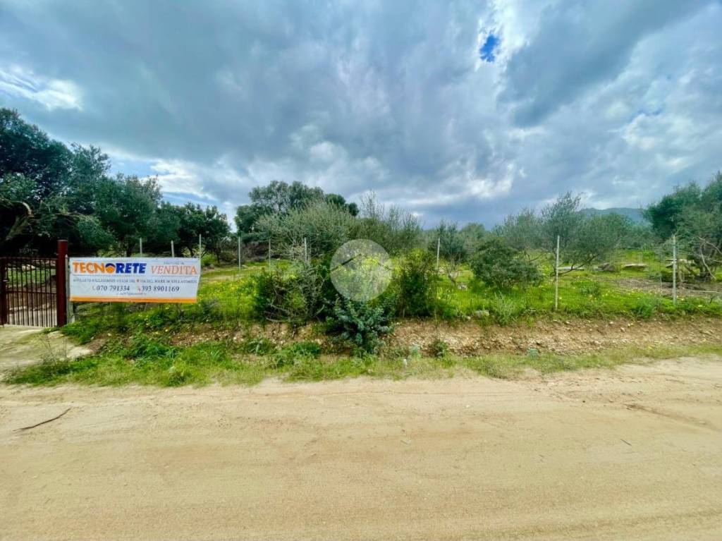 immagine annuncio 4 di 7