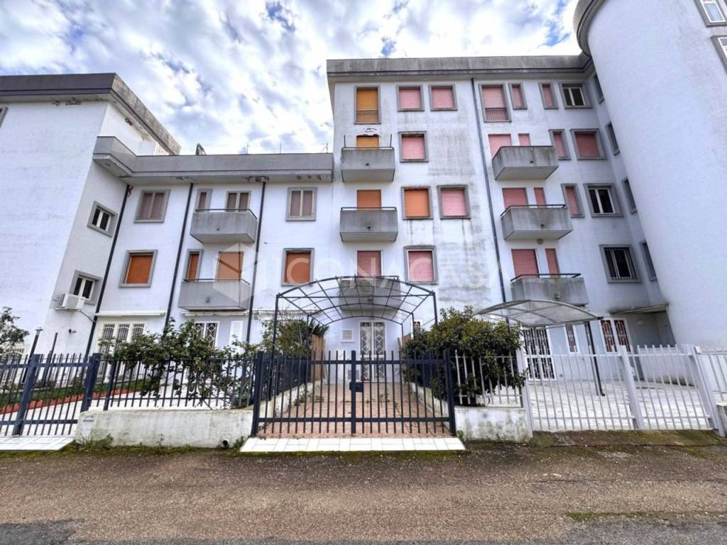 immagine annuncio 9 di 10