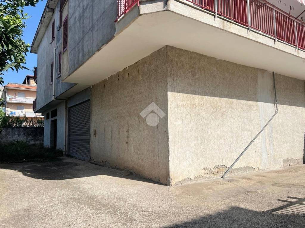 immagine annuncio 5 di 11