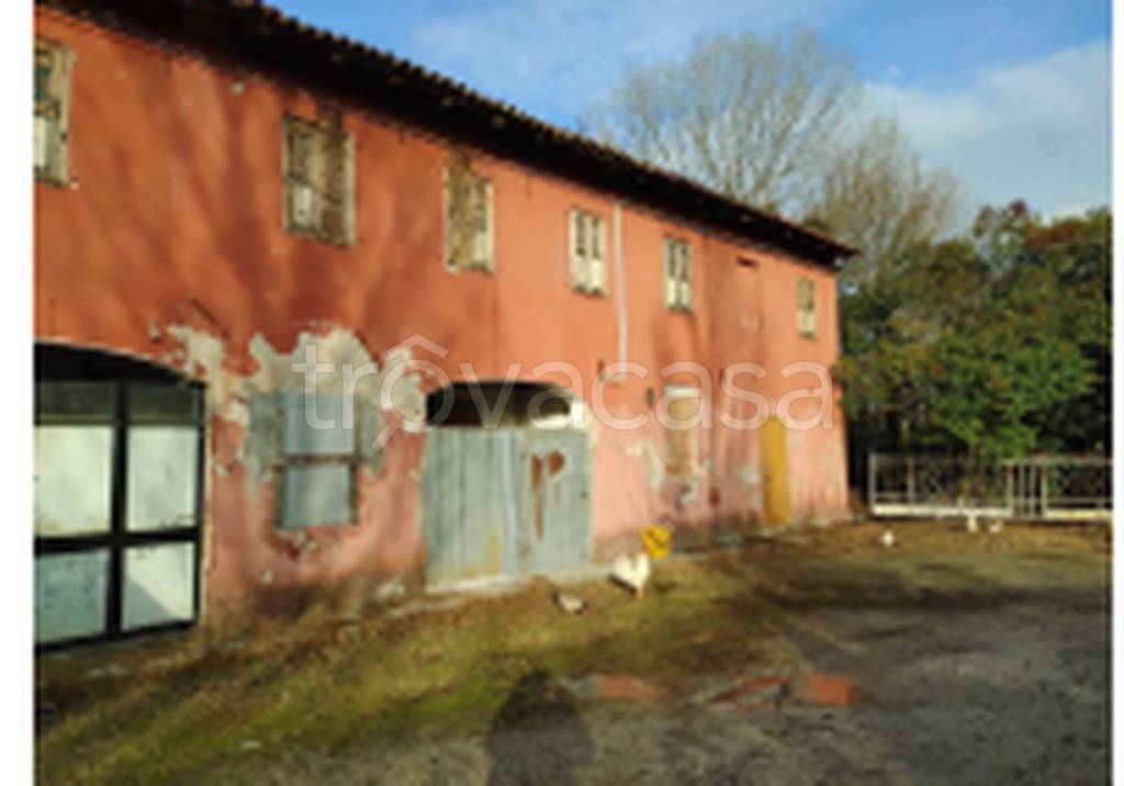 immagine annuncio 4 di 12