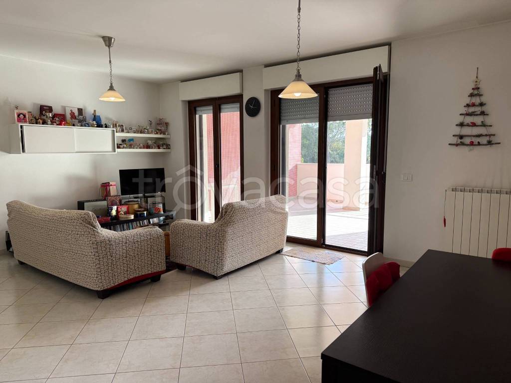 immagine annuncio 8 di 15