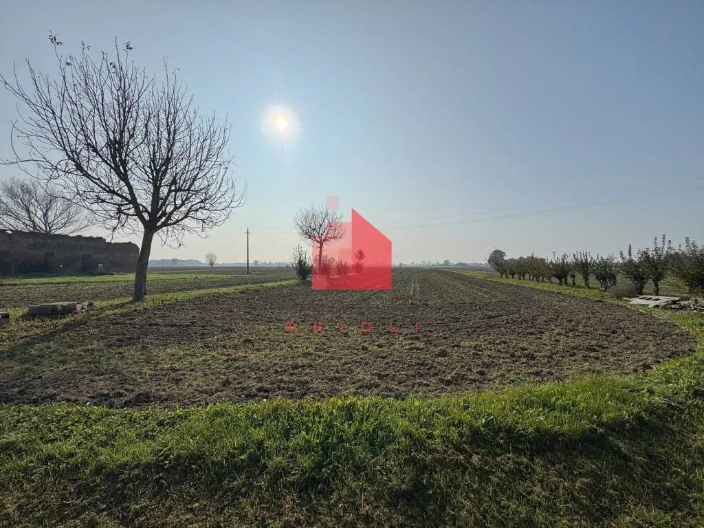 immagine annuncio 10 di 12