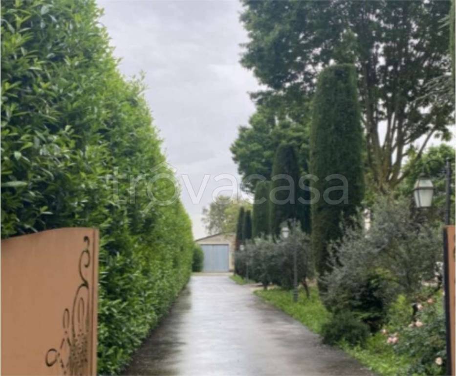 immagine annuncio 2 di 7