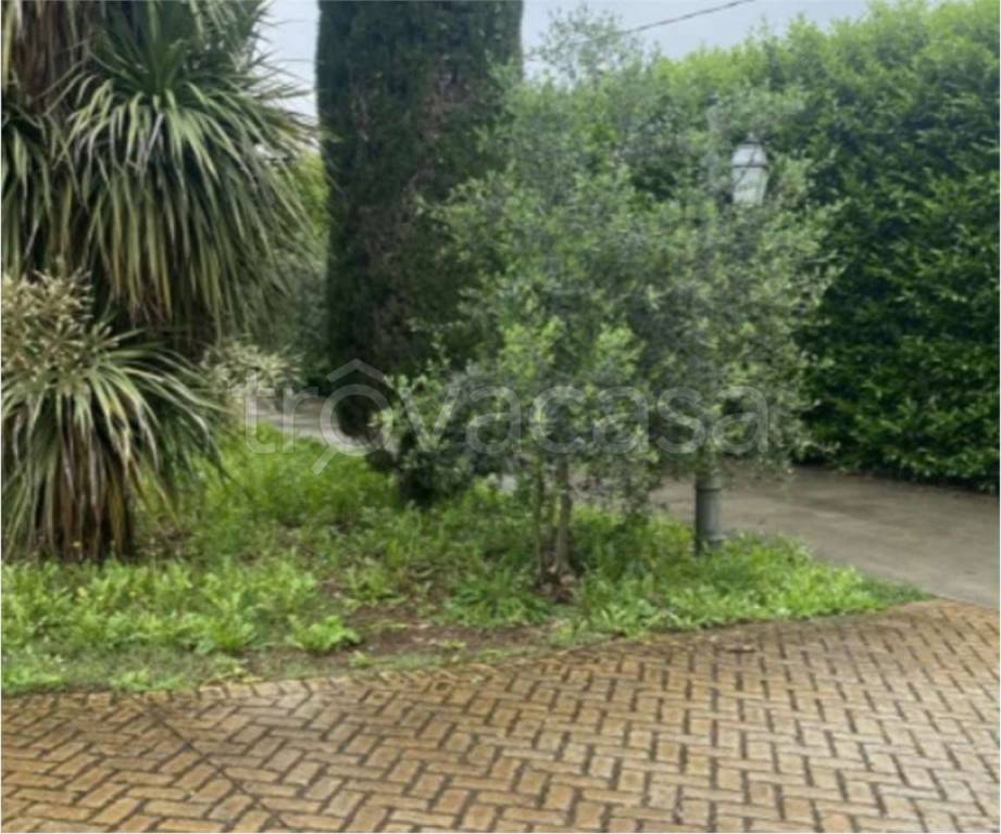 immagine annuncio 4 di 7