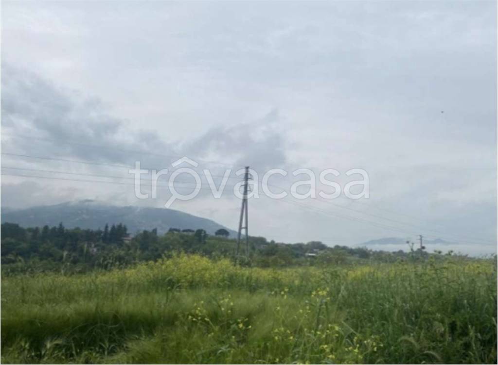 immagine annuncio 5 di 7