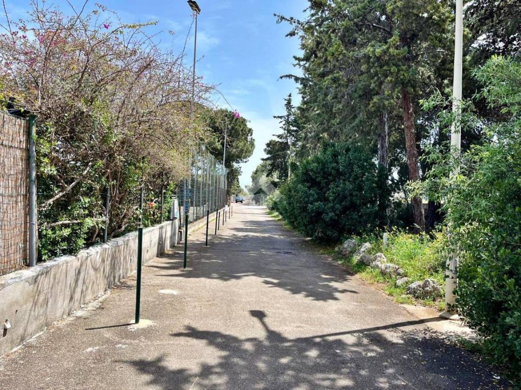 immagine annuncio 6 di 12