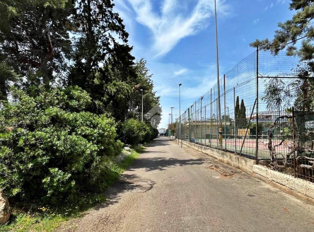 immagine annuncio 11 di 12