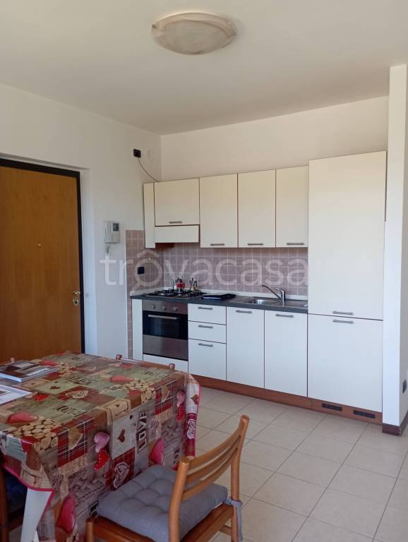 immagine annuncio 6 di 14