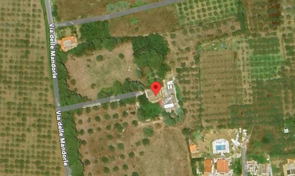 immagine annuncio 6 di 12