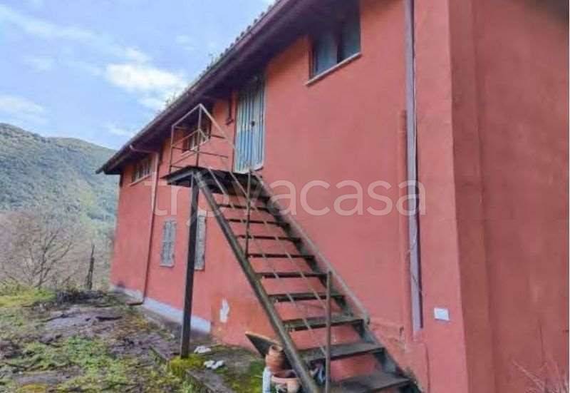 immagine annuncio 5 di 8