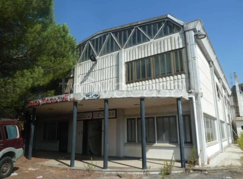 immagine annuncio 4 di 6