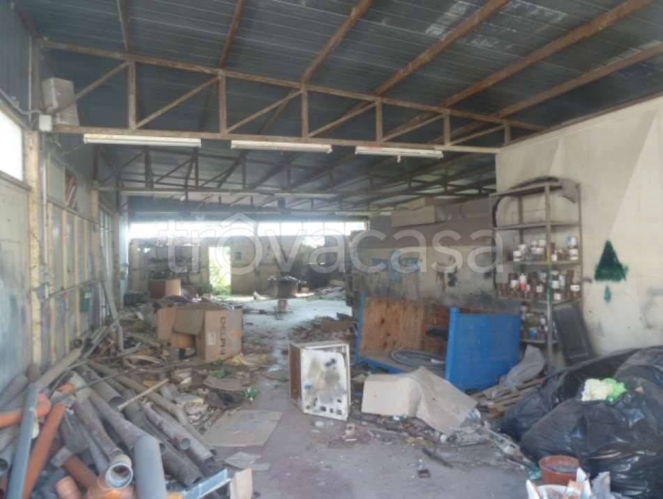 immagine annuncio 5 di 6