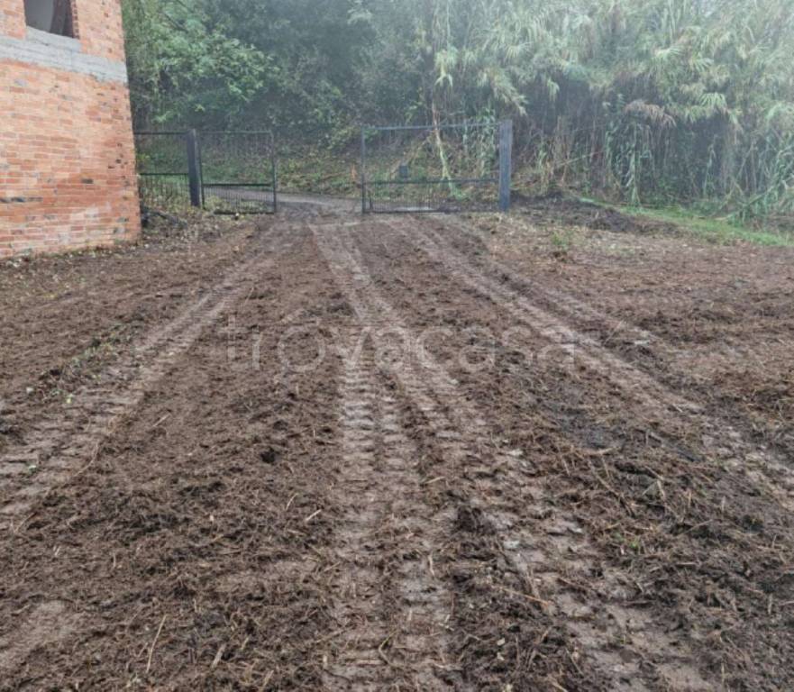 immagine annuncio 8 di 11